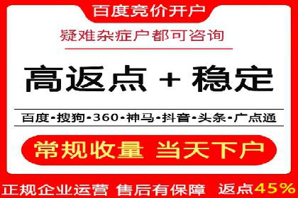 百度竞价推广案例：行业领军者成长故事